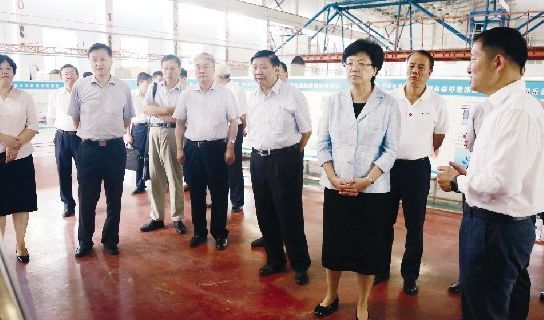 全国政协副主席李斌率调研组到校调研