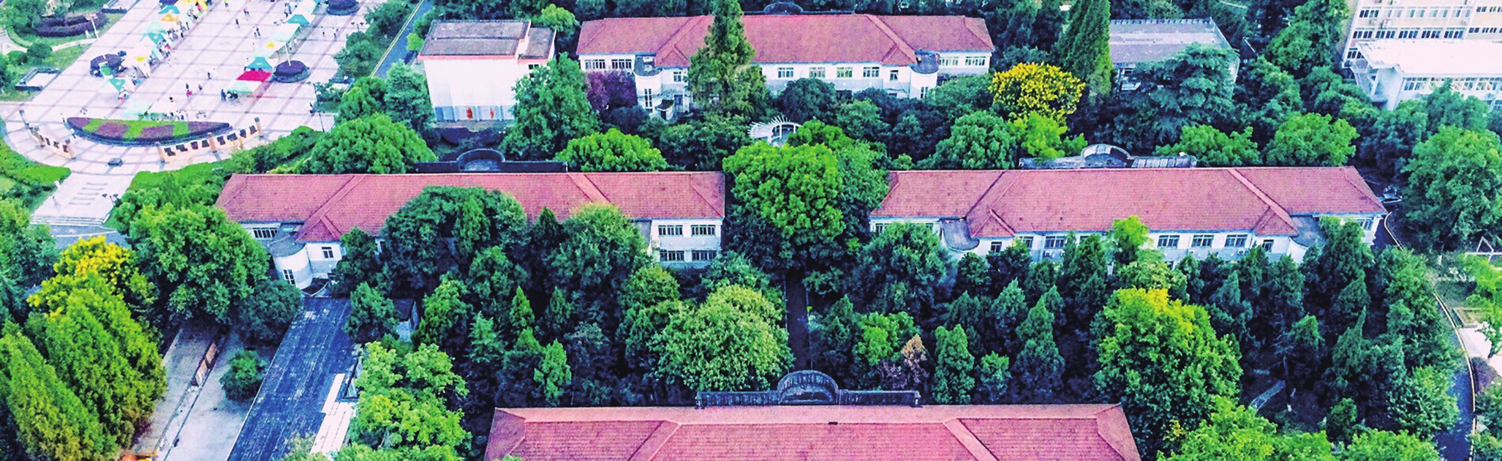 欢迎来到安徽医科大学欢迎来到安徽医科大学！！