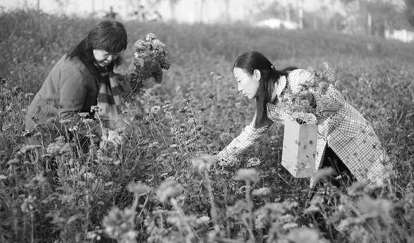 “暫別花田”：為了明春能接續(xù)今秋的精彩