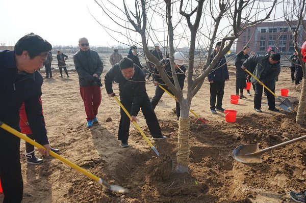 新校區(qū)第一批樹木入“住”海棠園