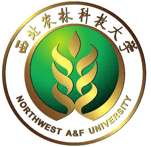 圖片新聞