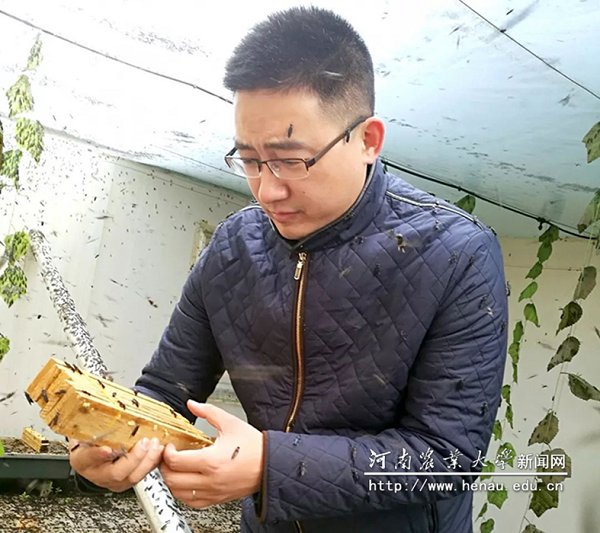 !!杨森在南阳冬季黑水虻繁育基地观察虫卵繁殖情况