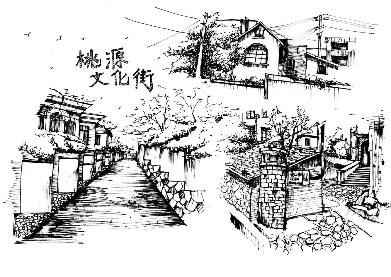 莘莘学子 手绘家乡(二)