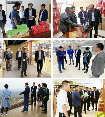 调研组一行实地走访