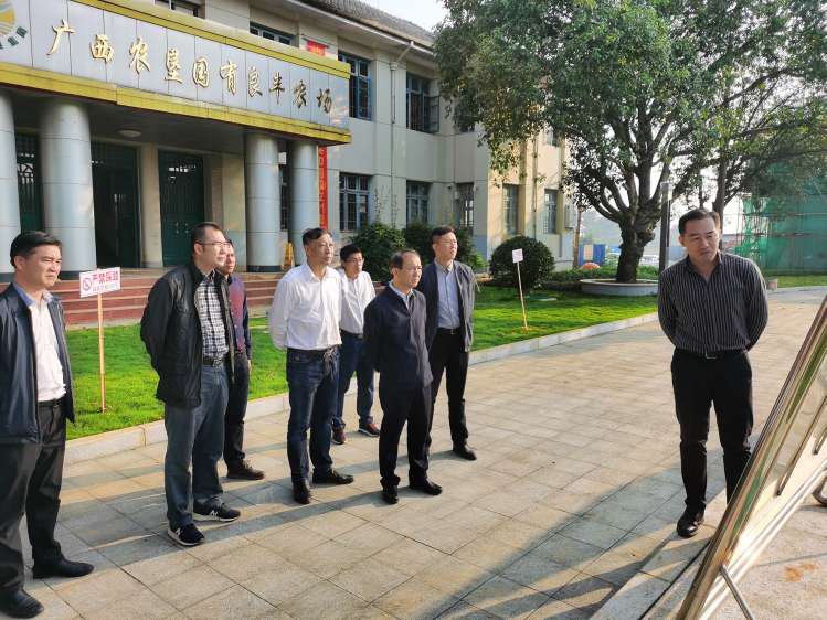 调研现场调研现场