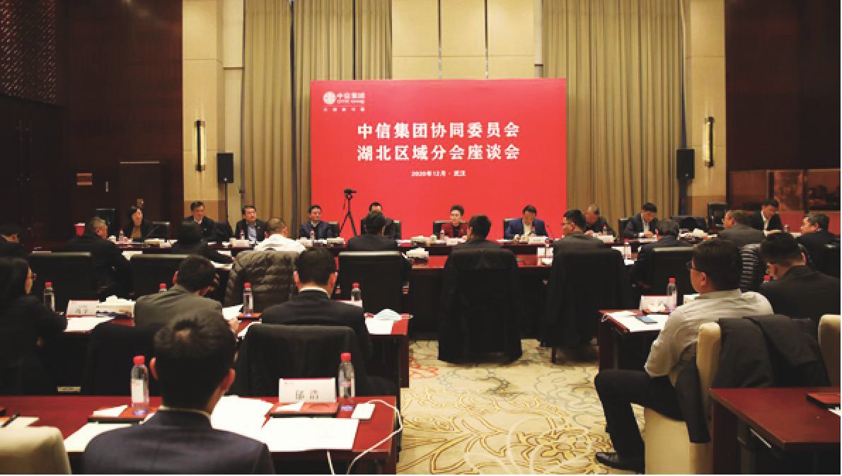 李庆萍出席2020年中信集团协同委员会湖北区域分会座谈会