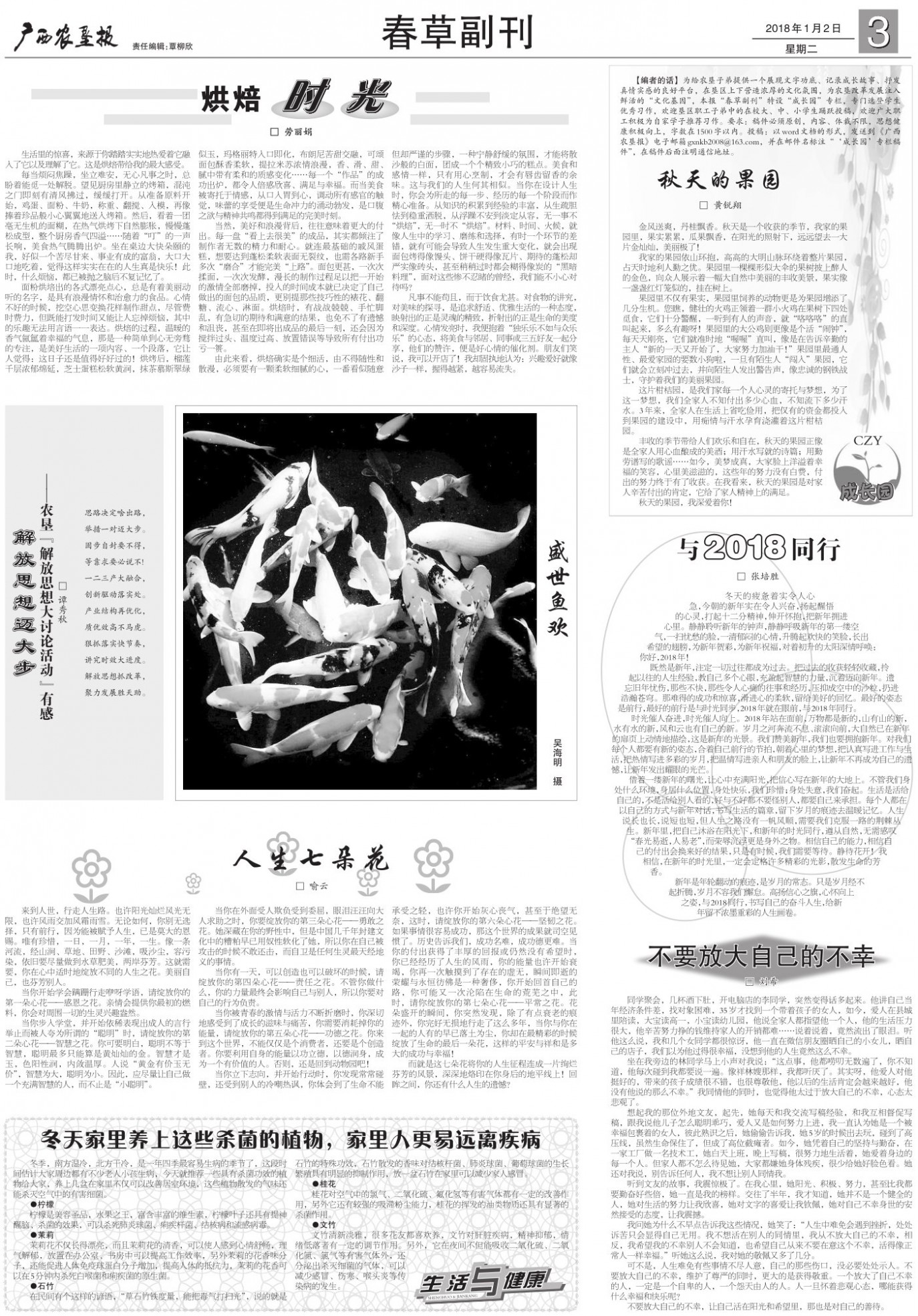 《广西农垦报》