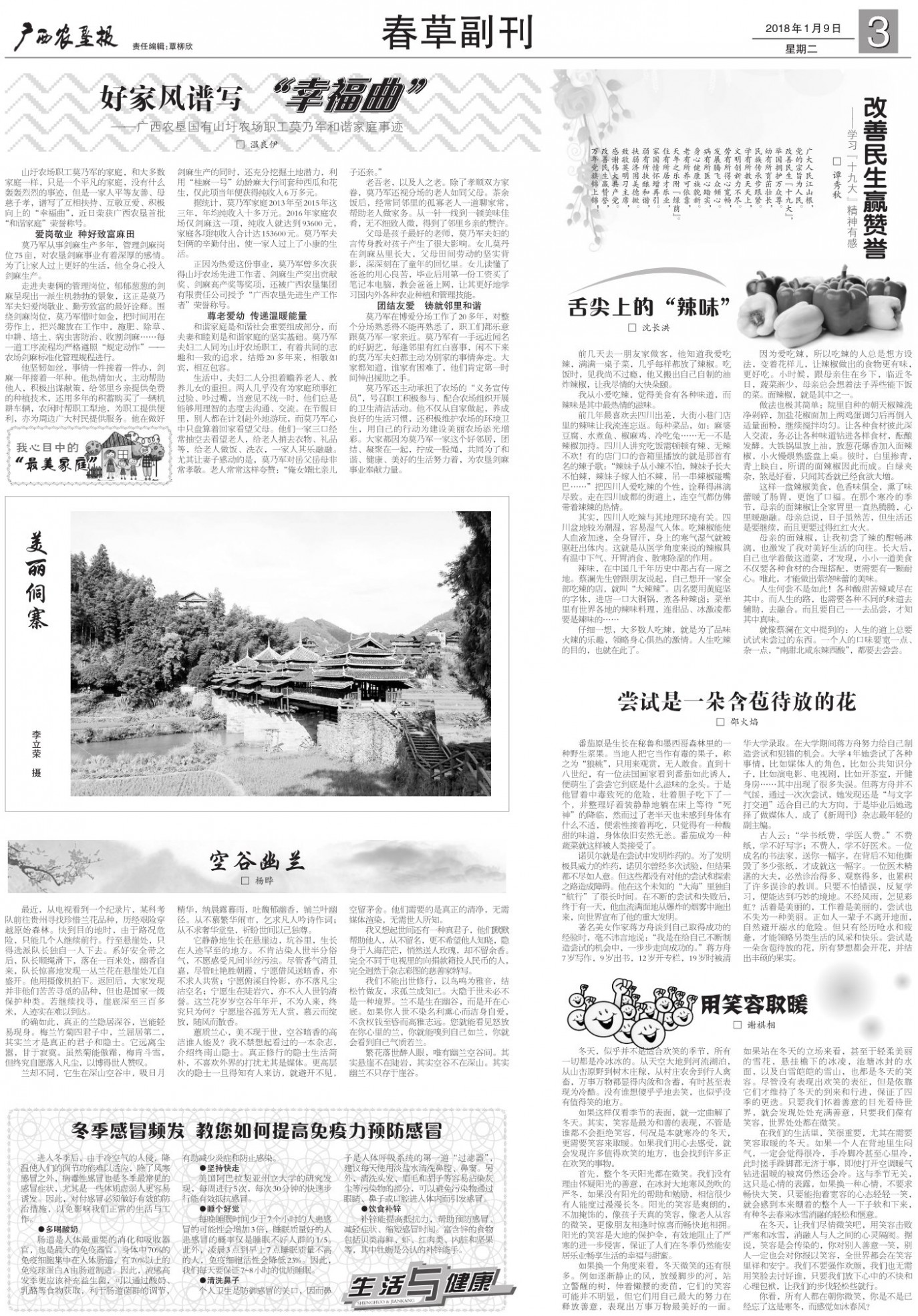 《广西农垦报》