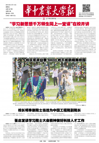第587期