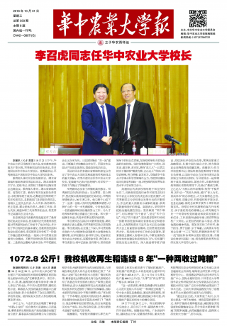 第593期