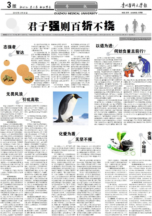 第263期