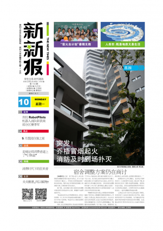 第113期