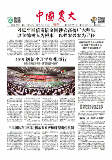 第459期