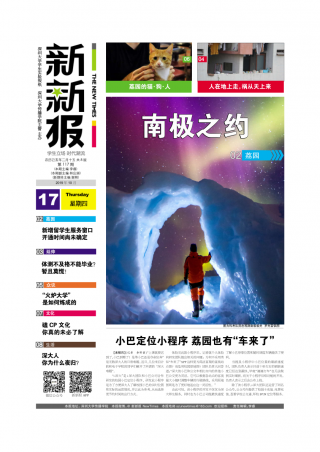 第117期