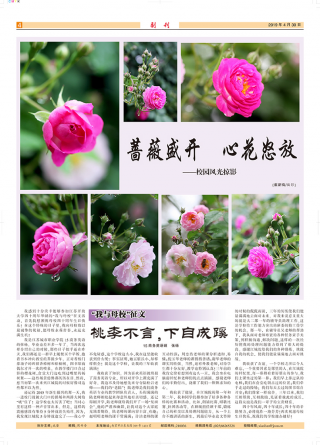 第6期