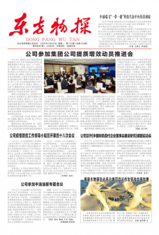 第913期
