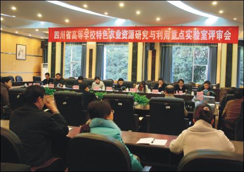 专家组评审会现场   刘大余  摄