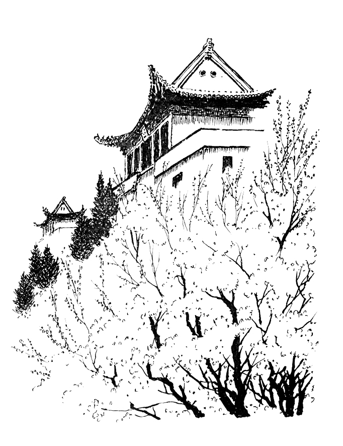 樱园-武汉大学电子版《武汉大学报》图片