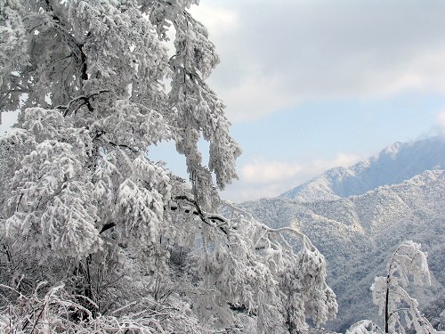 雪