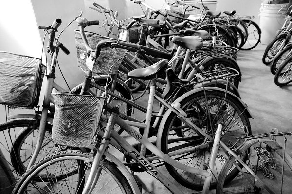 给遗弃的“马儿”找出路