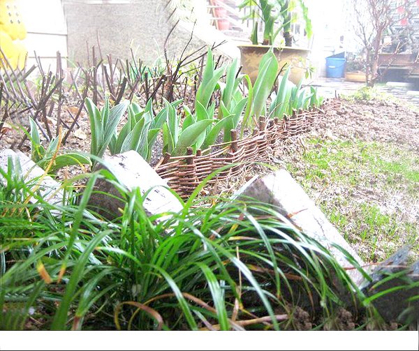 追忆恩师马丽华教授