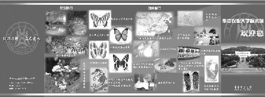 磨剑三年———标本馆惊艳亮相