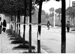 丝牵一缕绿色春意萦绕你我——“生态安徽之绿色