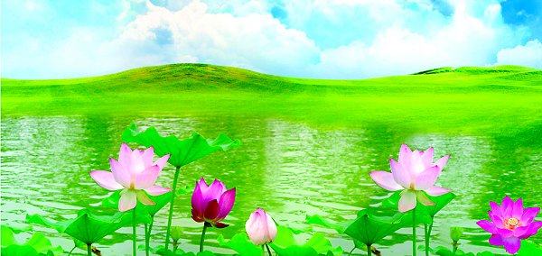 为了美好的明天