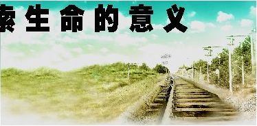 宁静生活中探索生命的意义