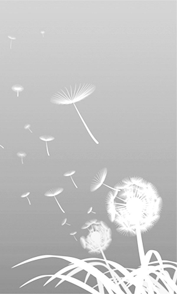 心有多大，舞台就有多大