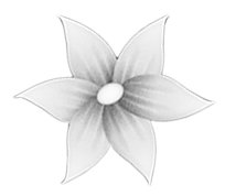 以学生为本以市场需求为导向开创大学生就业工作