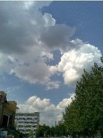 新年，放飞梦想