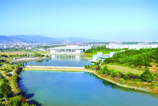 十年一剑露锋芒