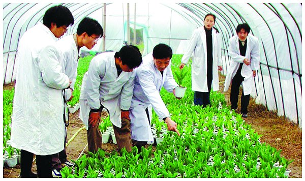 不拘一格育人才———我校大力推进应用型人才培