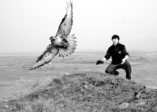 宋杰：天空猎手的守护者