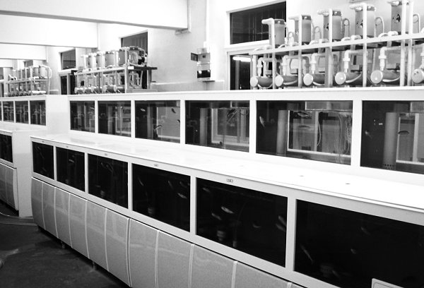 构建优势平台促进内涵发展