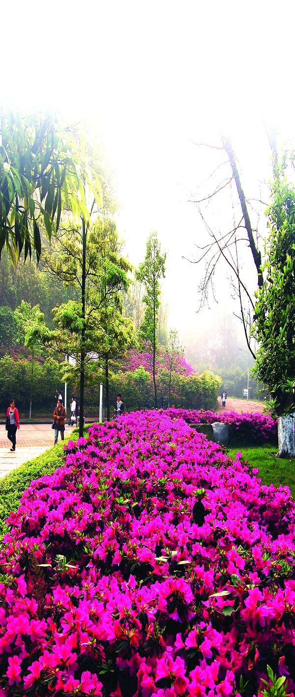 让我们记住这美好时光