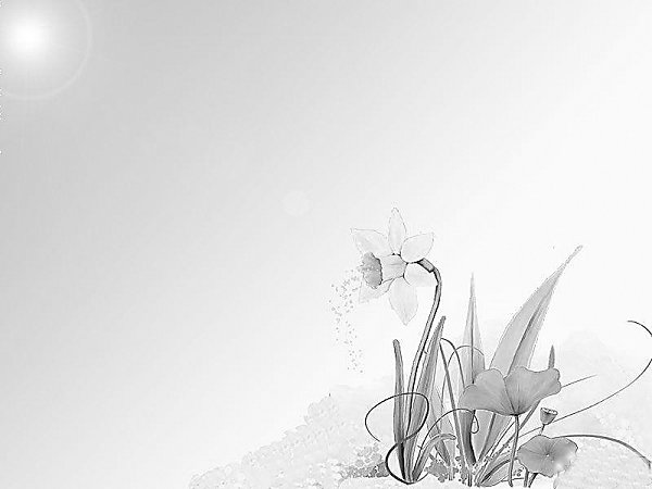 从校园走向社会