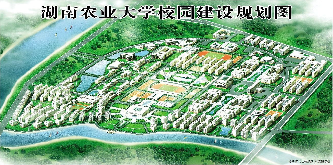 全面贯彻落实十二五发展规划