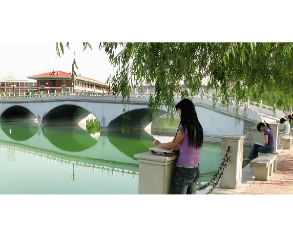 首届“青春诗会”获奖作品选登