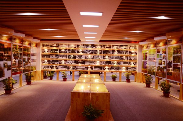 校史馆正式开馆