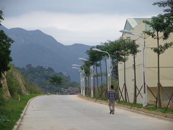 校园新增风景线