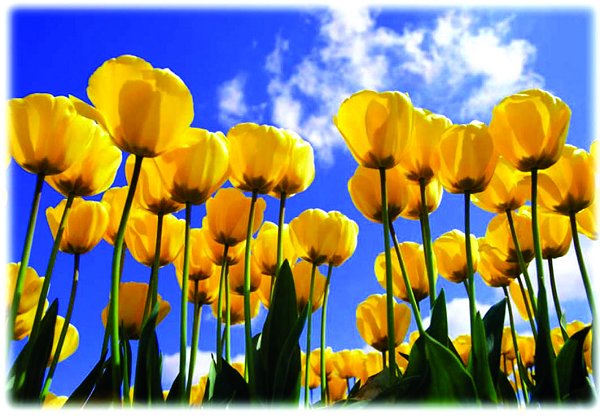 我校召开庆祝教师节座谈会