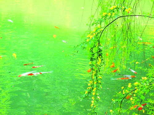 記憶深處———寫給湖大