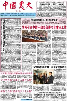 第271期