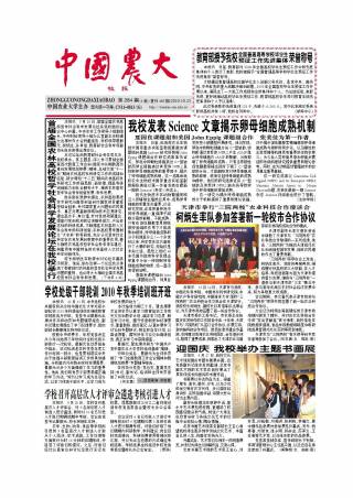 第284期