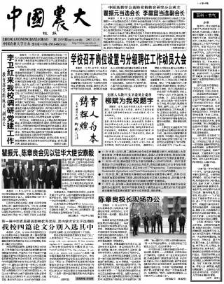 第229期