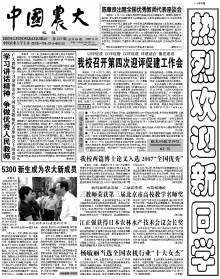 第223期