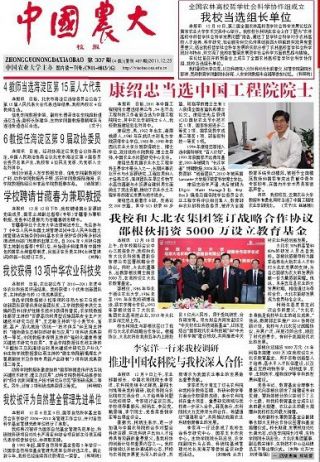 网络新闻类作品