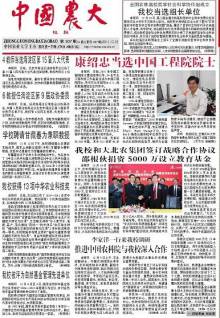 网络新闻类作品